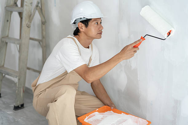 Painter Services in Dubai - professional service in Dubai