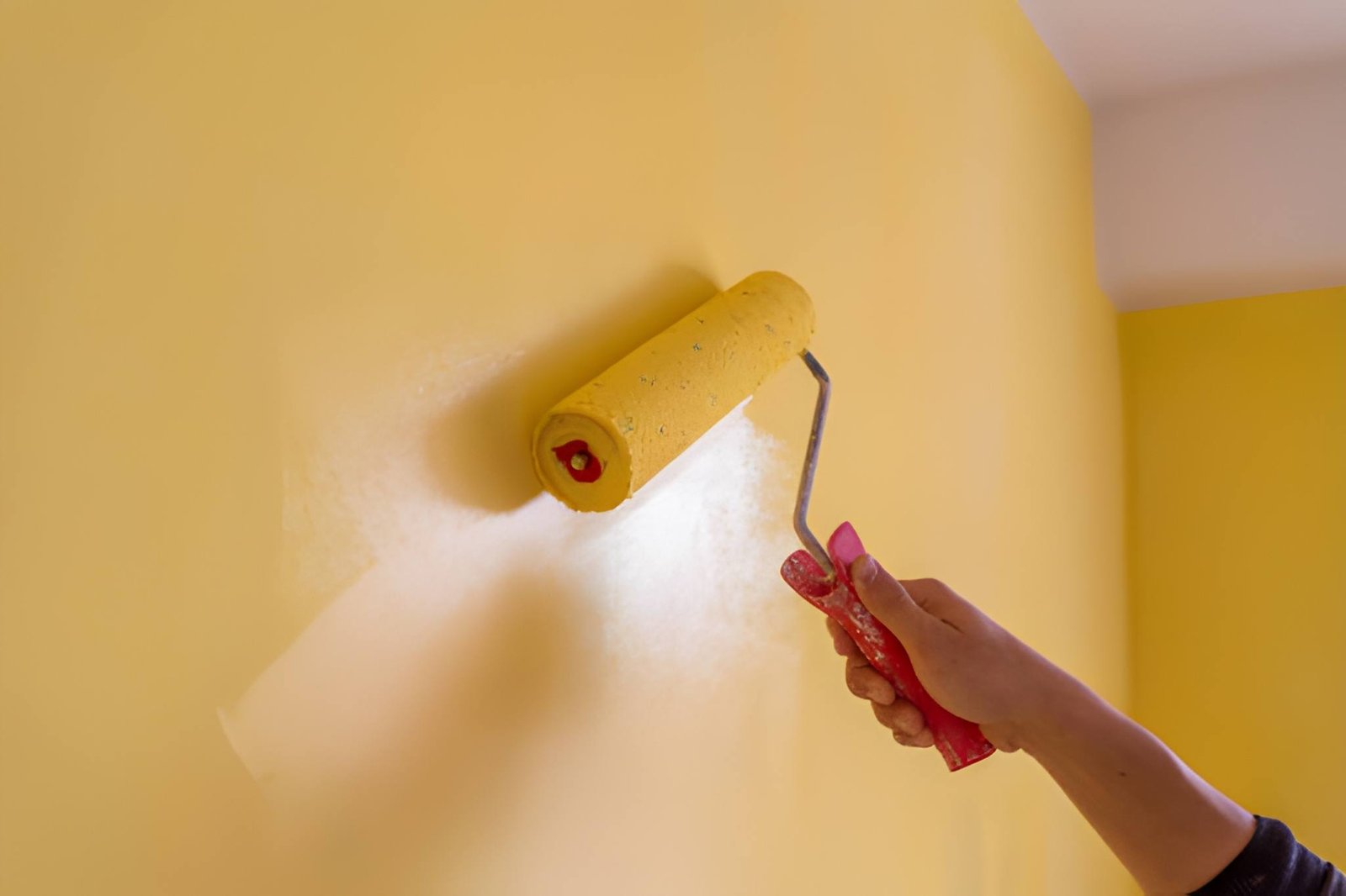 Painter Services in Dubai